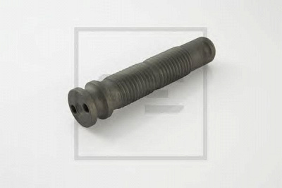 PE AUTOMOTIVE 14406000a -  Палец ушка рессоры